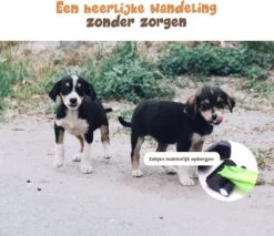 Dubbele Honden Riem – Leiband Hond – Hondenlijn – Looplijn Hond – 2 Honden – 3 Meter – Tot 12kg Per Hond – Reflecterende Lijnen – Met Zaklamp – 360° Draaien – Verstelbaar - Zwart -Hondenbenodigdheden Korting 1200x1035 6