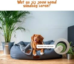 Praatknop Hond – Set Van 4 - Honden Speelgoed – Honden Training – Dogbuttons – Huisdier – Puppy Training - Hondenspeelgoed Intelligentie - Hond Opvoeden 16 Praatknop Hond – Set Van 4 - Honden Speelgoed – Honden Training – Dogbuttons – Huisdier – Puppy Training - Hondenspeelgoed Intelligentie - Hond Opvoeden -Hondenbenodigdheden Korting 1200x1036 5