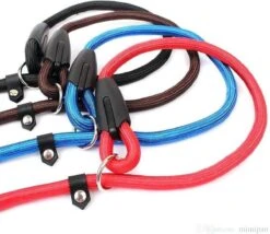 Merkloos Nylon Trainingslijn Voor Honden - Hondenriem - Blauw - Tot 5 Kg -Hondenbenodigdheden Korting 1200x1038 4