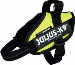 Julius K9 Julius-K9 IDC®Powertuig, S - Mini, Neon -Hondenbenodigdheden Korting 1200x1041 9