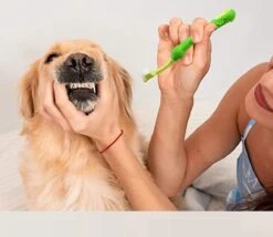 Merkloos Tandenborstel - Voor Huisdieren - Honden - 3 Zijdig - Multi-Hoek - Schoonmaken - Tanden - Slechte Adem - Tandsteen - Tandenborstel - Gezondheid - Blauw -Hondenbenodigdheden Korting 1200x1042 3