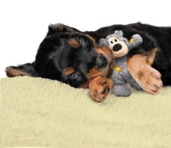 Kong Wild Knots Beer - Hondenspeelgoed - Assorti - M - 25 X 20 X 10 Cm -Hondenbenodigdheden Korting 1200x1042 4