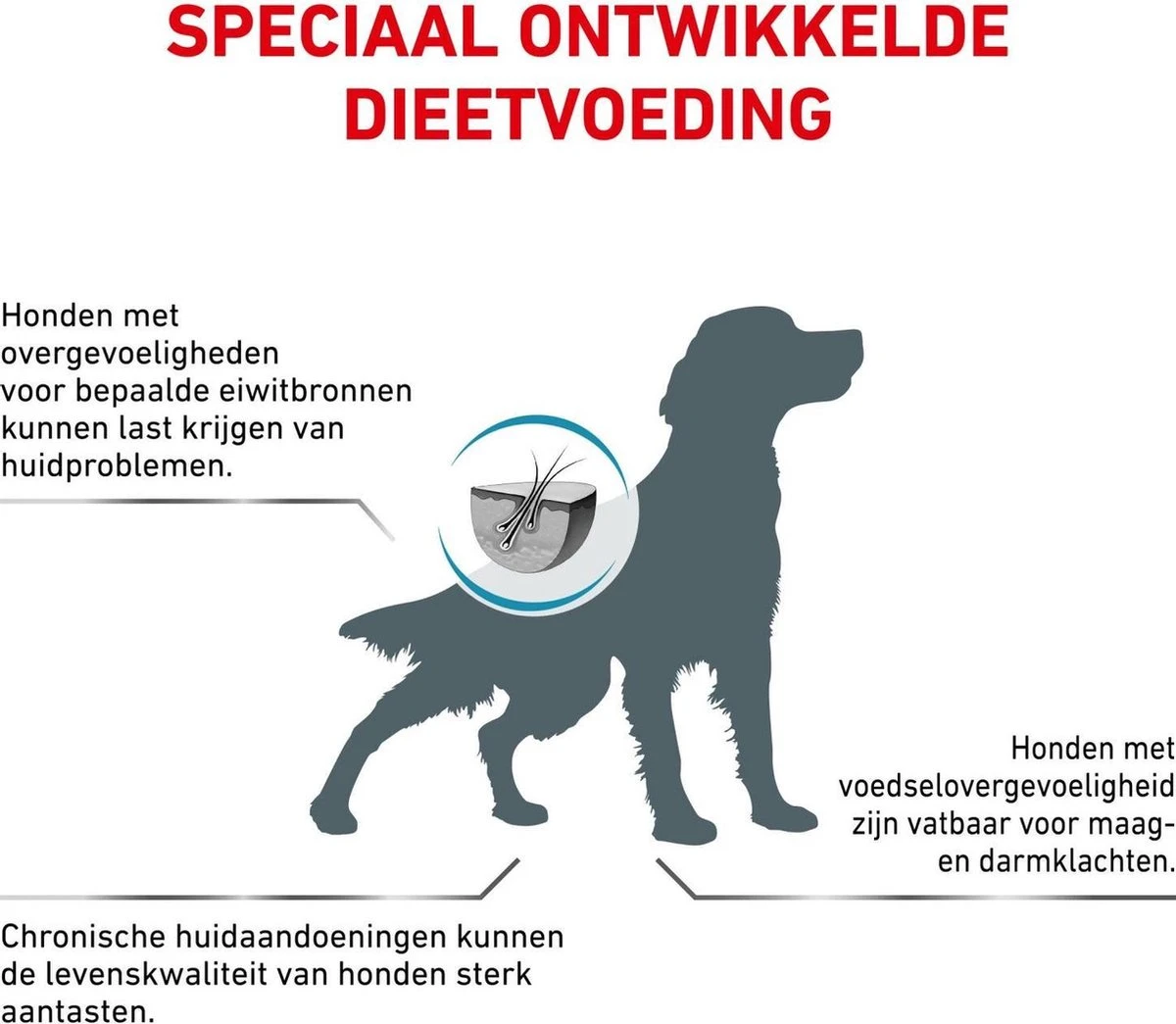 Royal Canin Anallergenic - Hondenvoer - 3 Kg 4 Royal Canin Anallergenic - Hondenvoer - 3 Kg - Afbeelding 4
