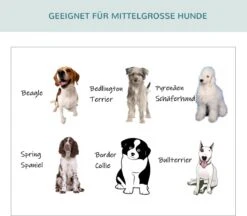 PawHut Hondenbox Inklapbare Hondentransportbox Dier 2 Kleuren 5 Maten 1O-T46O-R3DG-2 16 PawHut Hondenbox Inklapbare Hondentransportbox Dier 2 Kleuren 5 Maten 1O-T46O-R3DG-2 -Hondenbenodigdheden Korting 1200x1051 5