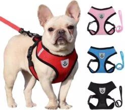 Zavelo® Honden Tuigje - Puppy En Kattentuigje - Hondenharnas - Reflecterend - Incl. Bijpassend Riempje - Zwart-Maat: S 10 Zavelo® Honden Tuigje - Puppy En Kattentuigje - Hondenharnas - Reflecterend - Incl. Bijpassend Riempje - Zwart-Maat: S -Hondenbenodigdheden Korting 1200x1053 10
