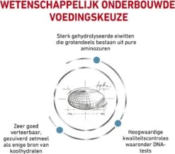 Royal Canin Anallergenic - Hondenvoer - 3 Kg 16 Royal Canin Anallergenic - Hondenvoer - 3 Kg -Hondenbenodigdheden Korting 1200x1054 1