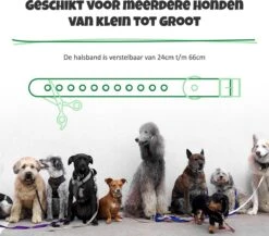 Anti Blafband Met Afstandsbediening - Blafband Voor Honden - Anti Blaf Apparaat Zonder Schok - Twee In Een Trainingshalsband -Hondenbenodigdheden Korting 1200x1055