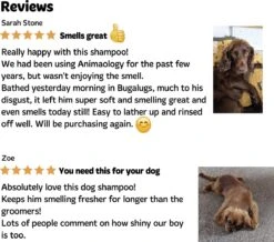 Bugalugs - Hondenshampoo - One In A Million - Alle Vachttypes - Fles Met Pompje - Vegan - 500 Ml -Hondenbenodigdheden Korting 1200x1061 1