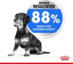 Royal Canin Ccn Light Weight Care Mini - Hondenvoer - 3 Kg -Hondenbenodigdheden Korting 1200x1064