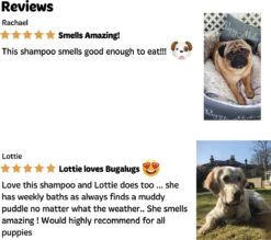 Bugalugs - Hondenshampoo - One In A Million - Alle Vachttypes - Fles Met Pompje - Vegan - 500 Ml -Hondenbenodigdheden Korting 1200x1066 6