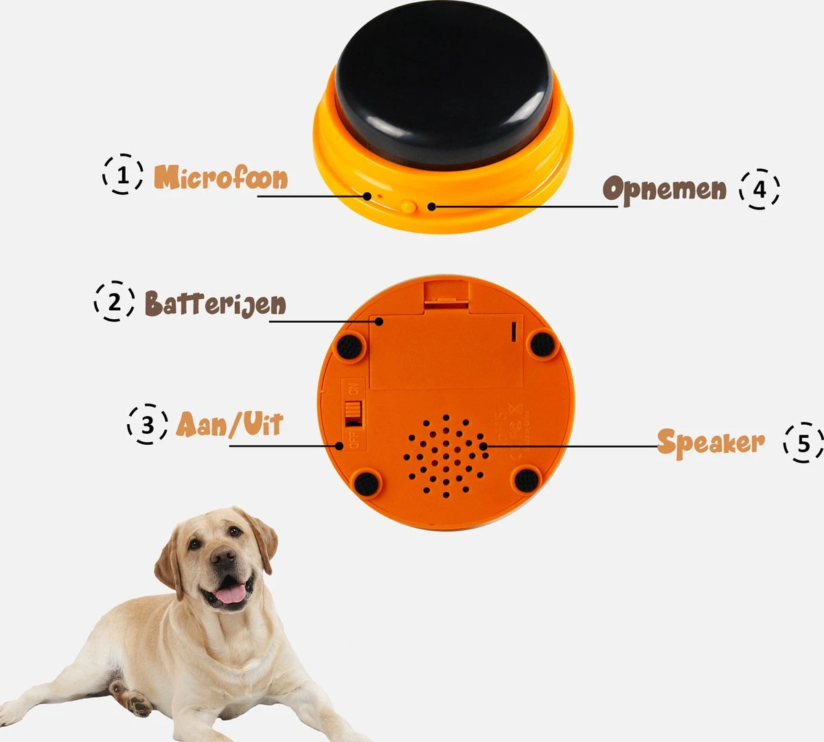 Praatknop Hond – Set Van 4 - Honden Speelgoed – Honden Training – Dogbuttons – Huisdier – Puppy Training - Hondenspeelgoed Intelligentie - Hond Opvoeden 10 Praatknop Hond – Set Van 4 - Honden Speelgoed – Honden Training – Dogbuttons – Huisdier – Puppy Training - Hondenspeelgoed Intelligentie - Hond Opvoeden - Afbeelding 10