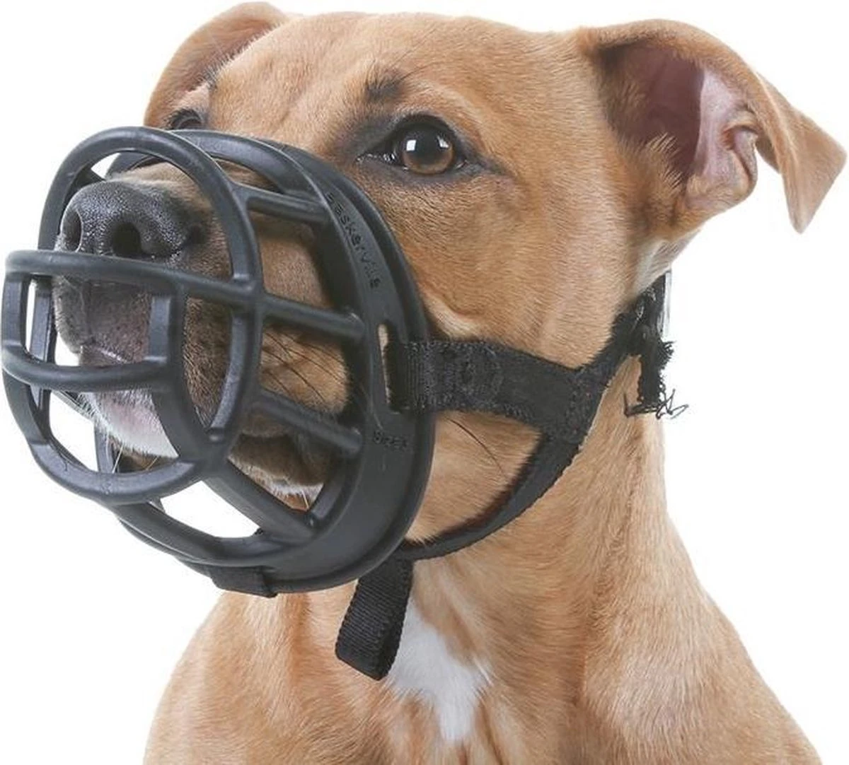 Company Of Animals Baskerville Ultra Muzzle - Muilkorf - Maat 3 (M) - Zwart 9 Company Of Animals Baskerville Ultra Muzzle - Muilkorf - Maat 3 (M) - Zwart - Afbeelding 9