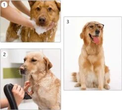 Waterblazer Hond - Hondendroger -Hondenbenodigdheden Korting 1200x1083 1