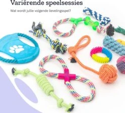 All 4 Pets Supply® Honden Speelgoed Set Geschikt Voor Puppy's T/m Middelgrote Honden - 12 Stuks - Hondenspeeltjes - Intelligentie - Touw - Flostouw - Bijtring - Bal -Hondenbenodigdheden Korting 1200x1086 2
