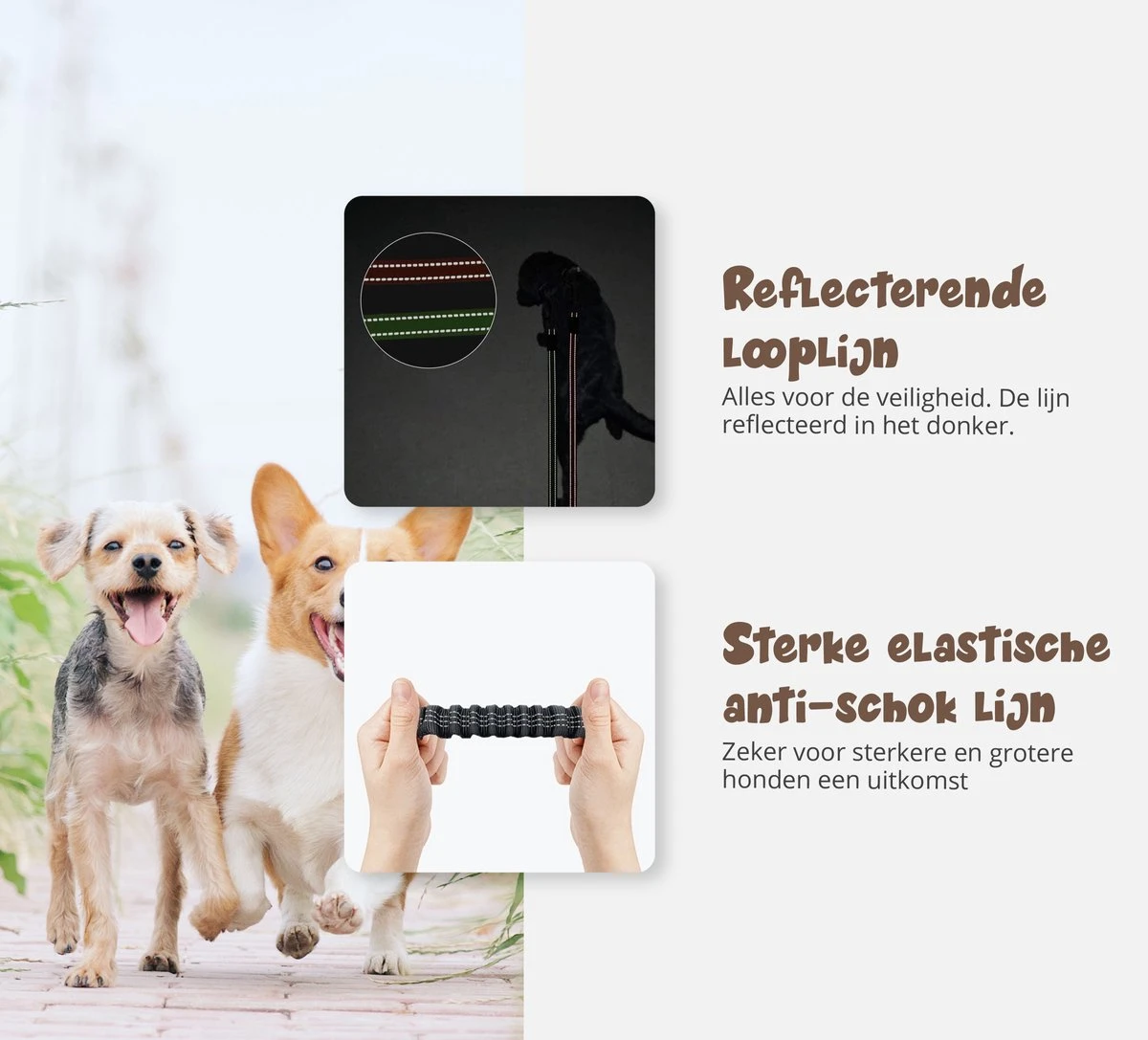 Hardloopriem Hond – Honden Riem Handsfree – Hardlopen Met Hond – 160-260 Cm Blauw - Hardloopband Hond – Halsband Hond – Hondenlijn – Leiband Hond 9 Hardloopriem Hond – Honden Riem Handsfree – Hardlopen Met Hond – 160-260 Cm Blauw - Hardloopband Hond – Halsband Hond – Hondenlijn – Leiband Hond - Afbeelding 9