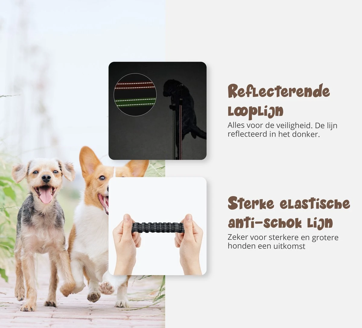 Hardloopriem Hond – Honden Riem Handsfree – Hardlopen Met Hond – 160-260 Cm Groen- Hardloopband Hond – Halsband Hond – Hondenlijn – Leiband Hond 5 Hardloopriem Hond – Honden Riem Handsfree – Hardlopen Met Hond – 160-260 Cm Groen- Hardloopband Hond – Halsband Hond – Hondenlijn – Leiband Hond - Afbeelding 5