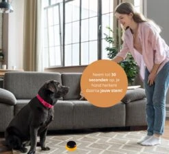 Praatknop Hond – Set Van 4 - Honden Speelgoed – Honden Training – Dogbuttons – Huisdier – Puppy Training - Hondenspeelgoed Intelligentie - Hond Opvoeden 14 Praatknop Hond – Set Van 4 - Honden Speelgoed – Honden Training – Dogbuttons – Huisdier – Puppy Training - Hondenspeelgoed Intelligentie - Hond Opvoeden -Hondenbenodigdheden Korting 1200x1087 20