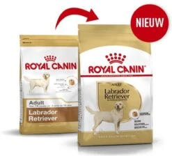 Royal Canin Labrador Retriever Adult 12 KG -Hondenbenodigdheden Korting 1200x1089 1