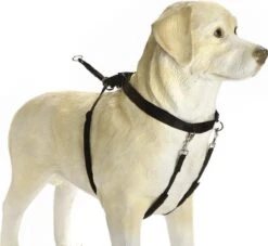 Beeztees Gentle Walker - Hondentuig - Zwart - M