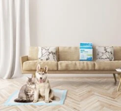 Nobleza 48DHD - Puppy Training Pads - 60 X 40 Cm - Zindelijkheidstraining - 50 Stuks 10 Nobleza 48DHD - Puppy Training Pads - 60 X 40 Cm - Zindelijkheidstraining - 50 Stuks -Hondenbenodigdheden Korting 1200x1105 4