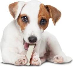 Nylabone Harde Bijters Kluif - Kip - Voor Honden Tot 30 Kg 21 Nylabone Harde Bijters Kluif - Kip - Voor Honden Tot 30 Kg -Hondenbenodigdheden Korting 1200x1107 10