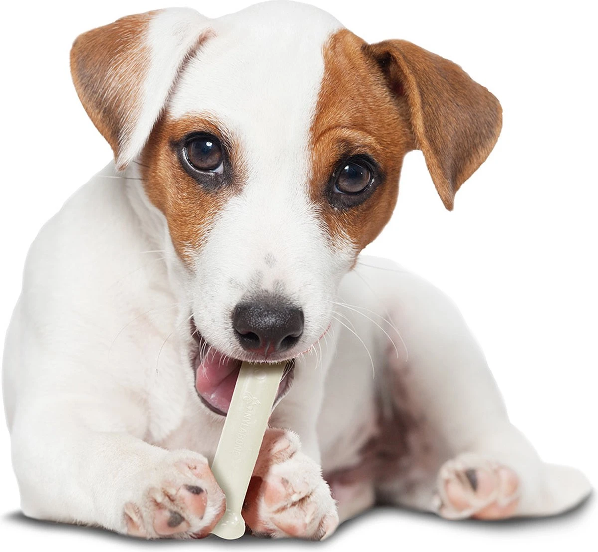 Nylabone Harde Bijters Kluif - Kip - Voor Honden Tot 30 Kg 5 Nylabone Harde Bijters Kluif - Kip - Voor Honden Tot 30 Kg - Afbeelding 5