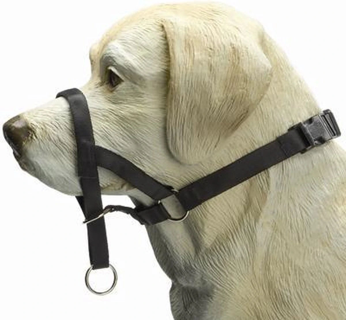 Beeztees Dog Control - Halsband Hond - Zwart - S 2 Beeztees Dog Control - Halsband Hond - Zwart - S - Afbeelding 2