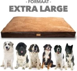 PrimePlus Hondenkussen XL Antraciet - 120x80x10 CM - Zacht En Luxe Hondenmand - Hondenbed - Hondenmat - Orthopedisch Hondenkussens 15 PrimePlus Hondenkussen XL Antraciet - 120x80x10 CM - Zacht En Luxe Hondenmand - Hondenbed - Hondenmat - Orthopedisch Hondenkussens -Hondenbenodigdheden Korting 1200x1112 3