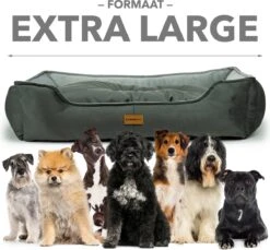 Primeplus Grote Hondenmand XL - Grijs - 100x80x20 CM - Orthopedische Hondenmanden - Hondenkussen 20 Primeplus Grote Hondenmand XL - Grijs - 100x80x20 CM - Orthopedische Hondenmanden - Hondenkussen -Hondenbenodigdheden Korting 1200x1114 11