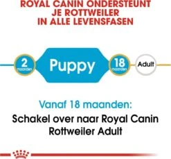 Royal Canin Rottweiler Junior 12 KG 28 Royal Canin Rottweiler Junior 12 KG -Hondenbenodigdheden Korting 1200x1114
