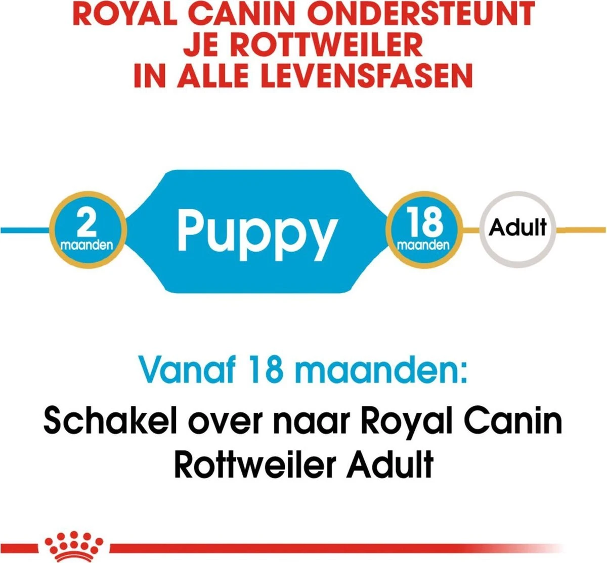 Royal Canin Rottweiler Junior 12 KG 11 Royal Canin Rottweiler Junior 12 KG - Afbeelding 11