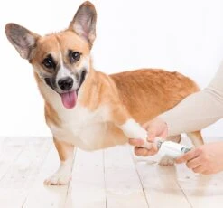 Auronic Elektrische Nagelvijl - Voor Dieren - Oplaadbaar - Draadloos - Diamant Vijlkop - Hond/Katten - Wit 16 Auronic Elektrische Nagelvijl - Voor Dieren - Oplaadbaar - Draadloos - Diamant Vijlkop - Hond/Katten - Wit -Hondenbenodigdheden Korting 1200x1115 4