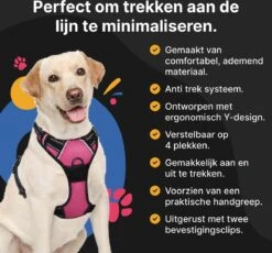 Hondentuig - Hondenharnas - Hondenriem - Anti Trek - Autogordel Hond - Zwart - Maat S -Hondenbenodigdheden Korting 1200x1116 12