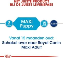 Royal Canin Maxi Puppy 4 KG -Hondenbenodigdheden Korting 1200x1116 2