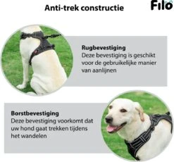 Filo Anti Trek Hondentuig S Met Hondenriem - Y Tuig Hond Verstelbaar - Hondentuigje Kleine Hond + Hondenlijn - Easy Walk Hondenharnas - Hondentuigjes - Leiband - Honden Tuigje - Puppy - Tuig - Hond -Hondenbenodigdheden Korting 1200x1117 10