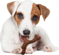 Nylabone Extreme Kauwbot Vorkbeen - Voor De Krachtigste Kauwers - Bizon Of Kipsmaak - S/M/L - Smaak: Bizon, Maat: Large -Hondenbenodigdheden Korting 1200x1117 8