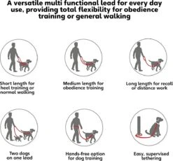 Company Of Animals Halti Trainingslijn - Large - 2 Meter - Verstelbaar - Zwart -Hondenbenodigdheden Korting 1200x1119 3