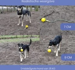 Leashr Honden Speelgoed - Bal Aan Touw - 2 Stuks - Touw - Koord - Kauwspeelgoed - Apporteer - Hond - 7 CM -Hondenbenodigdheden Korting 1200x1119 4