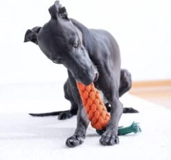 NufNuf - Hondenspeelgoed - Wortel - Stevig En Duurzaam Designspeelgoed -Hondenbenodigdheden Korting 1200x1120 11