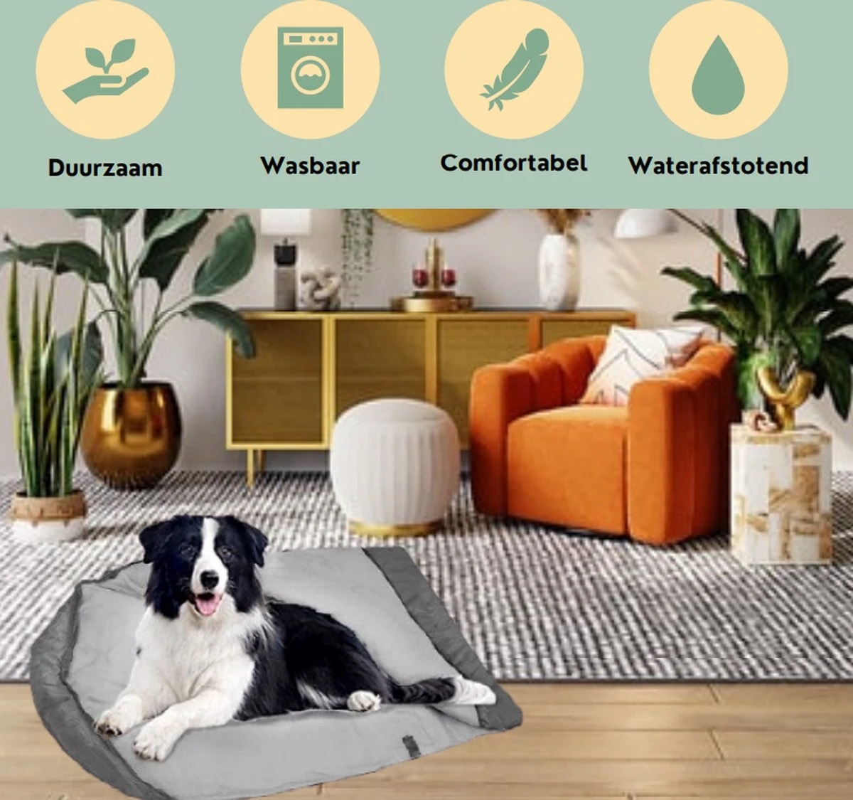 Bolobo | Hondenslaapzak - Dierenslaapzak - Hondencave - Hondenmand Cave - Cozy Cave - Slaapzak Hond - Hondenmand - Hondenkussen - Travelbag - Dentalsticks - Kampeerslaapzak 2 Bolobo | Hondenslaapzak - Dierenslaapzak - Hondencave - Hondenmand Cave - Cozy Cave - Slaapzak Hond - Hondenmand - Hondenkussen - Travelbag - Dentalsticks - Kampeerslaapzak - Afbeelding 2