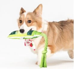 Merkloos Hondenspeelgoed - Piepspeelgoed - Trekspeeltje - Chocobruin -Hondenbenodigdheden Korting 1200x1127 5