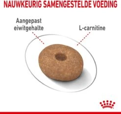 Royal Canin Ccn Light Weight Care Mini - Hondenvoer - 3 Kg -Hondenbenodigdheden Korting 1200x1128