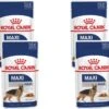 Royal Canin Shn Maxi Adult Pouch - Hondenvoer - 4 X 10 X 140 G