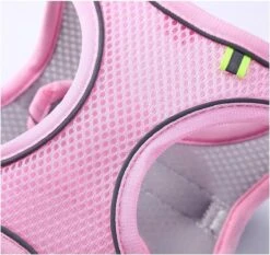 Hondentuigje Voor Kleine Puppy's & Kleine Honden - Blauw - Maat M 11 Hondentuigje Voor Kleine Puppy's & Kleine Honden - Blauw - Maat M -Hondenbenodigdheden Korting 1200x1130 5