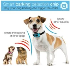 Merkloos Anti Blafband Voor Honden Blafband Anti Blaf Apparaat Blafband Zonder Schok - Diervriendelijk -Hondenbenodigdheden Korting 1200x1133 3