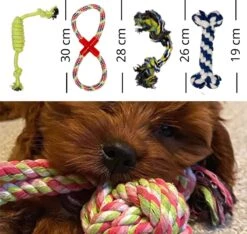 (Goedkoopste) Honden Speelgoed Set 15 Stuks Geschikt Voor Puppy's T/m Middelgrote Honden - Honden Kauw Speelgoed - 15 Stuks - Hondenspeeltjes - Intelligentie - Touw - Flostouw - Bijtring - Bal - Huisdieren Speelgoed -Hondenbenodigdheden Korting 1200x1135 11