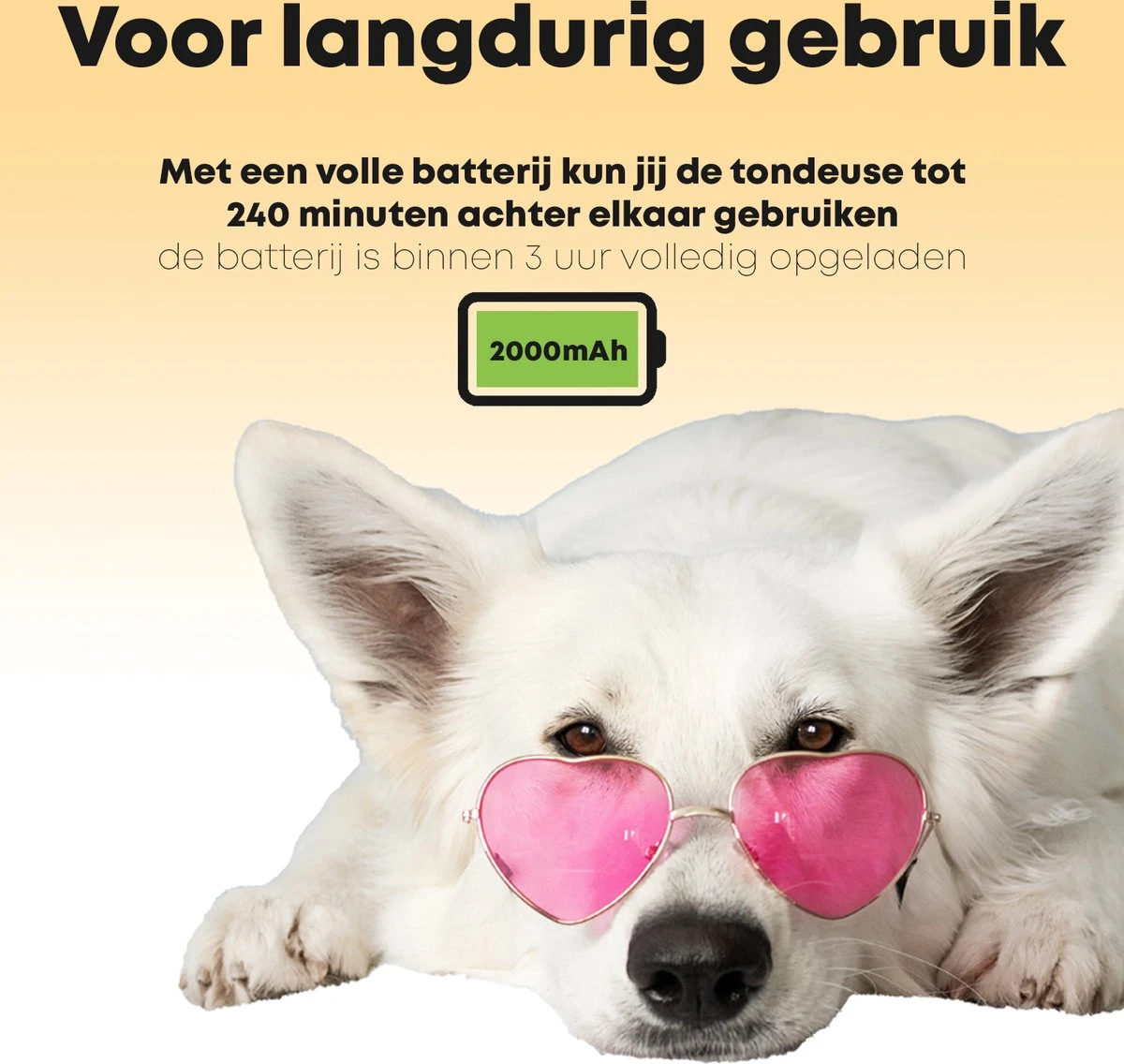 Hondentondeuse Professioneel - 2 In 1 - Honden & Katten - Hondentrimmer - Dikke & Dunne Vacht 5 Hondentondeuse Professioneel - 2 In 1 - Honden & Katten - Hondentrimmer - Dikke & Dunne Vacht - Afbeelding 5