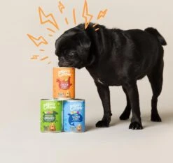 Edgard & Cooper Kip & Kalkoen Blik - Voor Volwassen Honden - Hondenvoer - 12 X 400g -Hondenbenodigdheden Korting 1200x1138