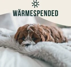 Happilax Fluffy Hondendeken Voor Auto & Bank, Wasbare Hondenmat Voor Op Reis, Grijs, L 10 Happilax Fluffy Hondendeken Voor Auto & Bank, Wasbare Hondenmat Voor Op Reis, Grijs, L -Hondenbenodigdheden Korting 1200x1139 9