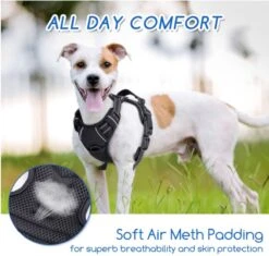 Nobleza 42ZHX - Hondenharnas - Hondentuigje - Anti Trek - M - Zwart 10 Nobleza 42ZHX - Hondenharnas - Hondentuigje - Anti Trek - M - Zwart -Hondenbenodigdheden Korting 1200x1141 11